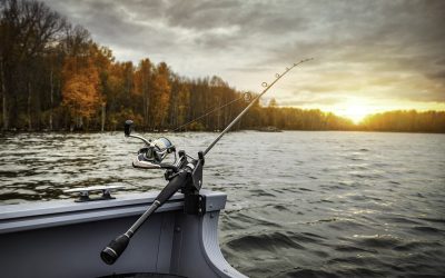 Top 10 Freshwater Fishing Rods for 2023