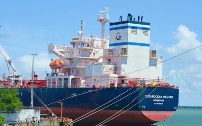 The Ultimate Guide to Diesel Fuel Bladders