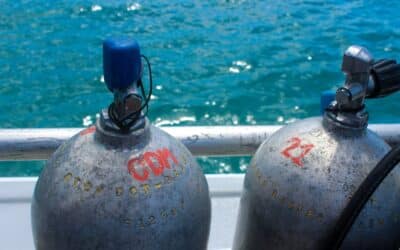 Everything You Need to Know About Portable Marine Tanks