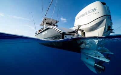 The Best 30 Gallon Marine Tanks for Fresh Water and Fuel